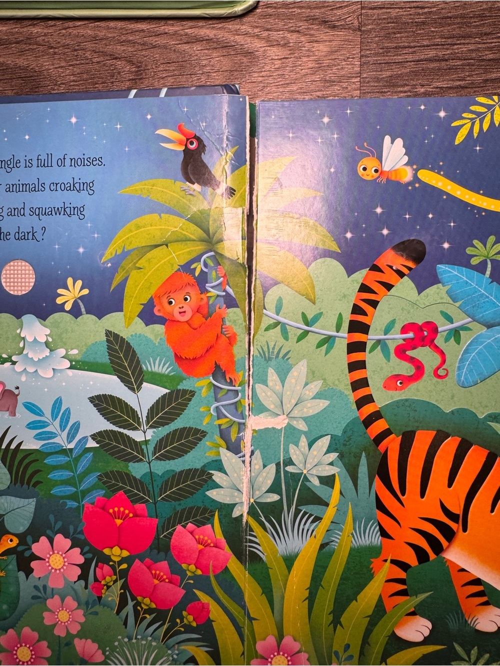 Usborne Books bundle - Picture 2 of 2